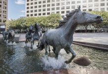 New App Ensures Students Get Home Safe