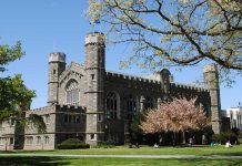 Top Online Courses for First Year Students